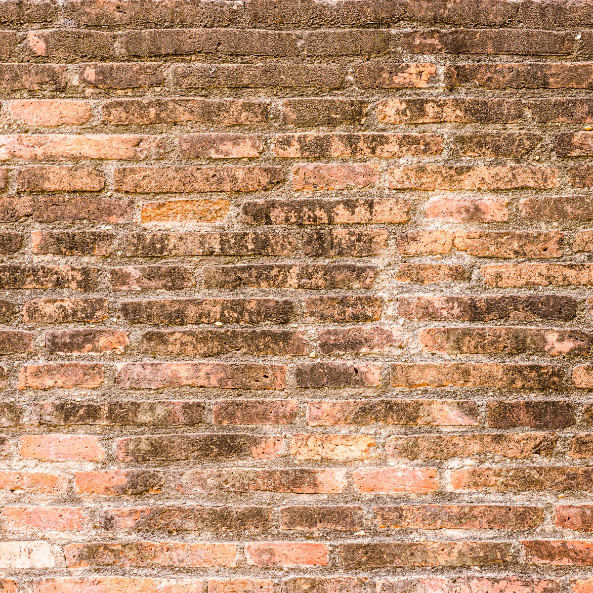 closeup picture of old red brick wall